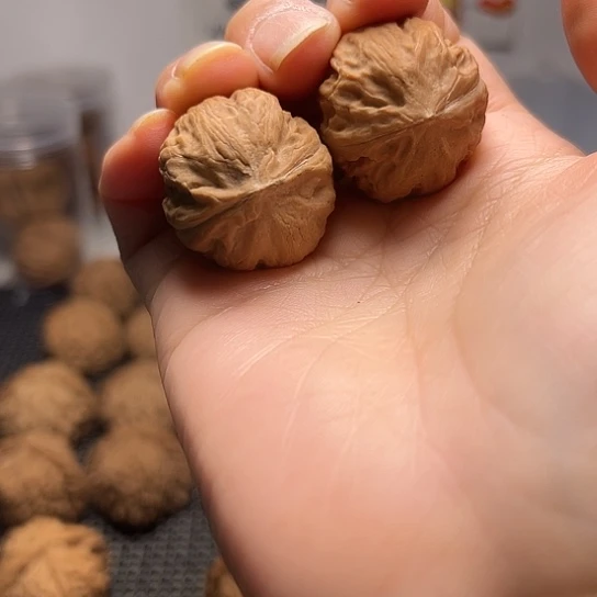 菩***坐小团子核桃核桃核桃