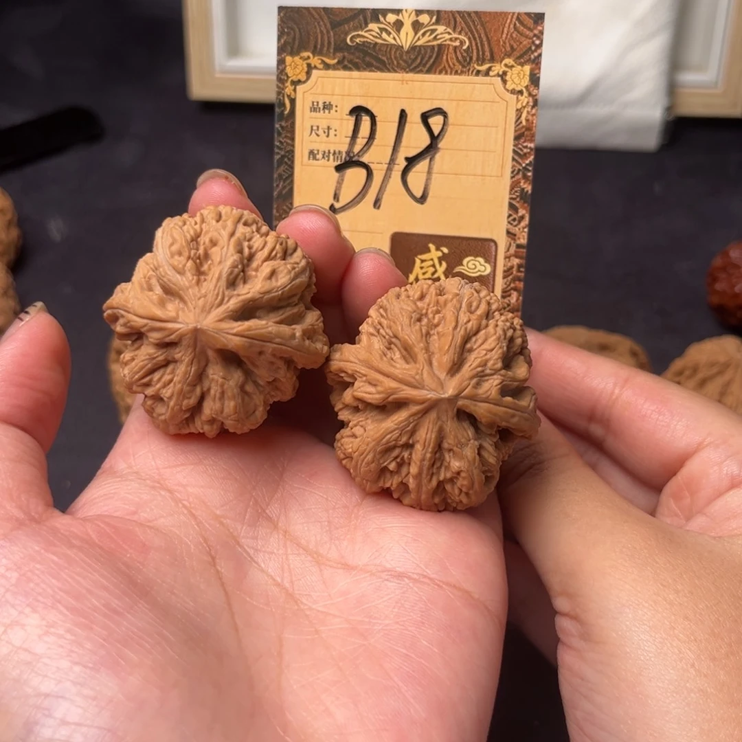 核桃b18粗筋111111