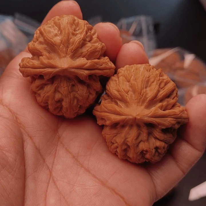核桃红锦鲤42尺核桃