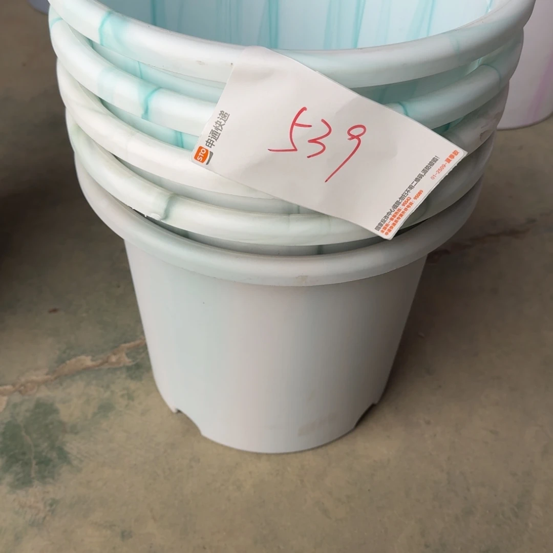 编号539串色口径32