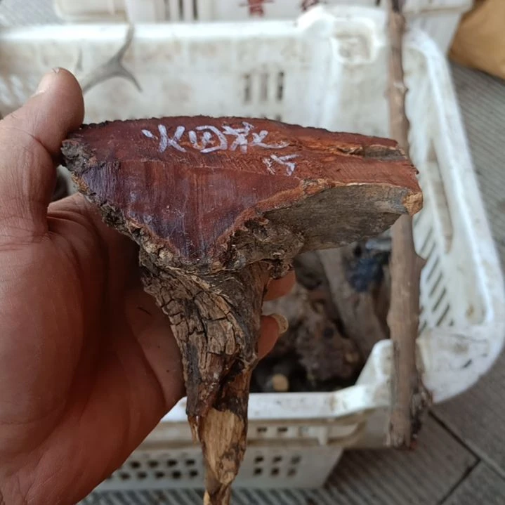 烟***花柏木黑疙瘩毛料毛料全