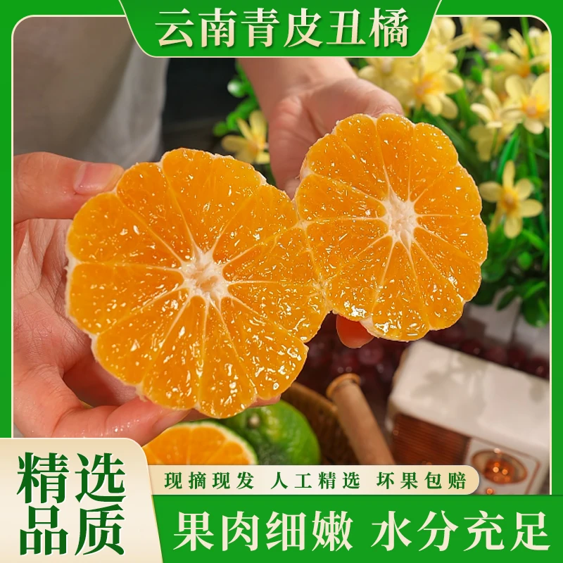 云南青皮丑橘高山蜜橘新鲜当季水果甜嫩多汁无籽果园现摘3斤起