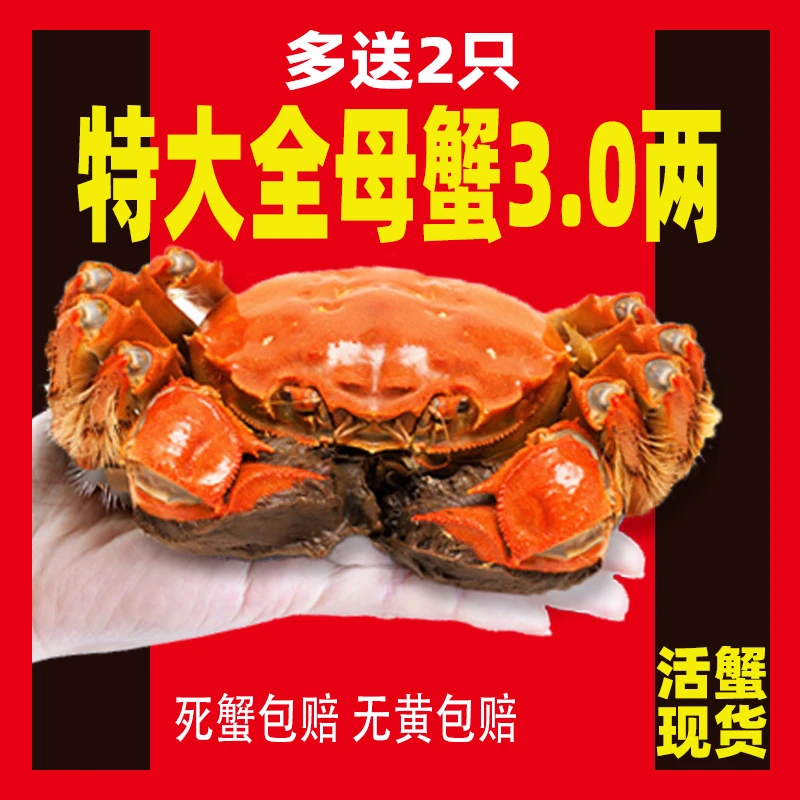 【活蟹】全母蟹3.0两8只＋2只 苏州精品大闸蟹鲜活现货顺丰/京东直播