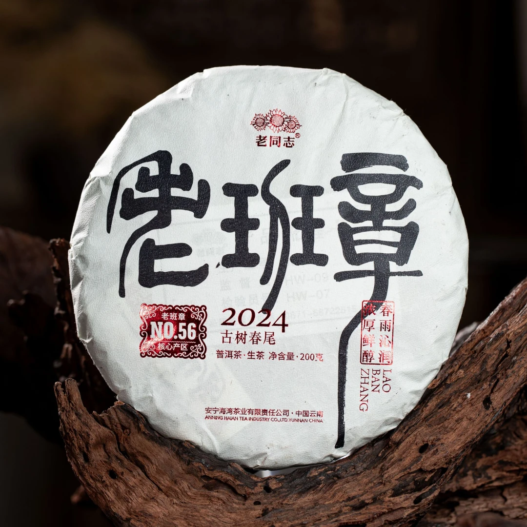 老同志2024年老班章 春尾 古树 普洱茶生茶 200克