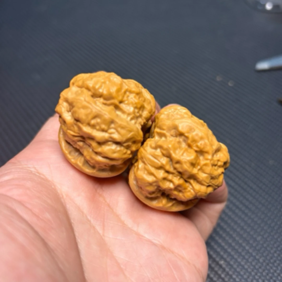 延庆肌肉蛙S级40尺寸带罐有修已打底84号