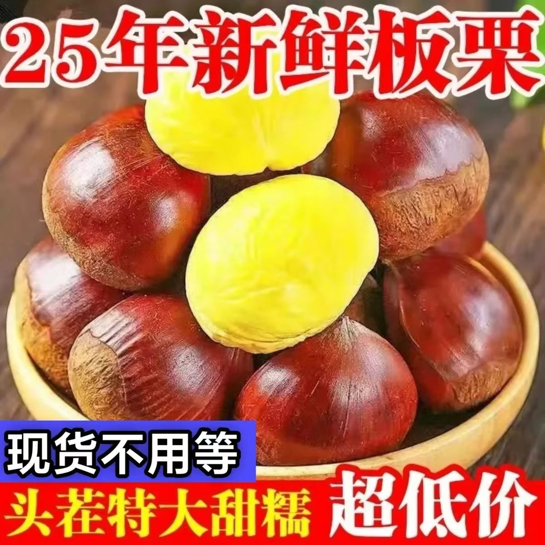 新鲜高山头茬板栗颗颗饱满香甜粉糯好剥皮