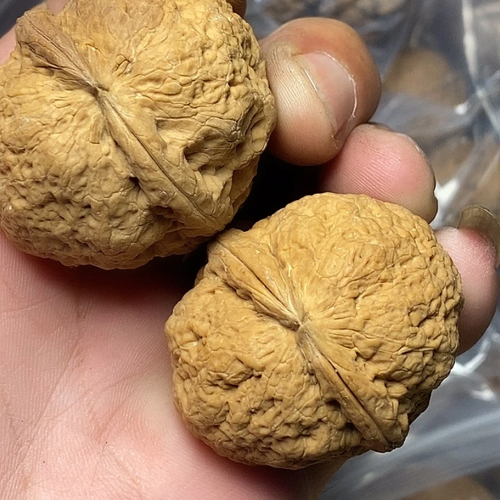 文玩核桃把件云南铁核桃B40