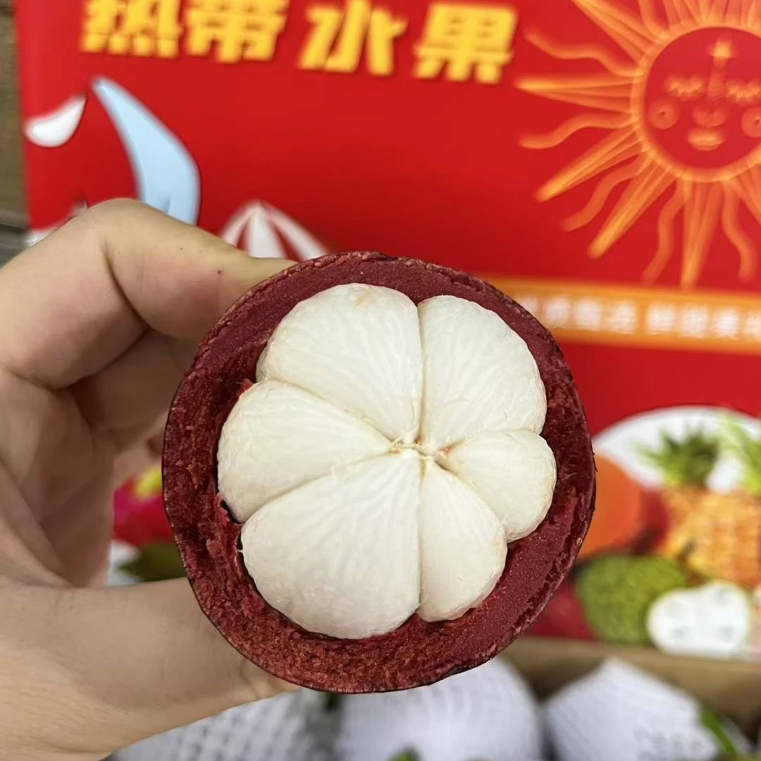 海南保亭山竹新鲜采摘 当季热带水果白嫩多汁大果