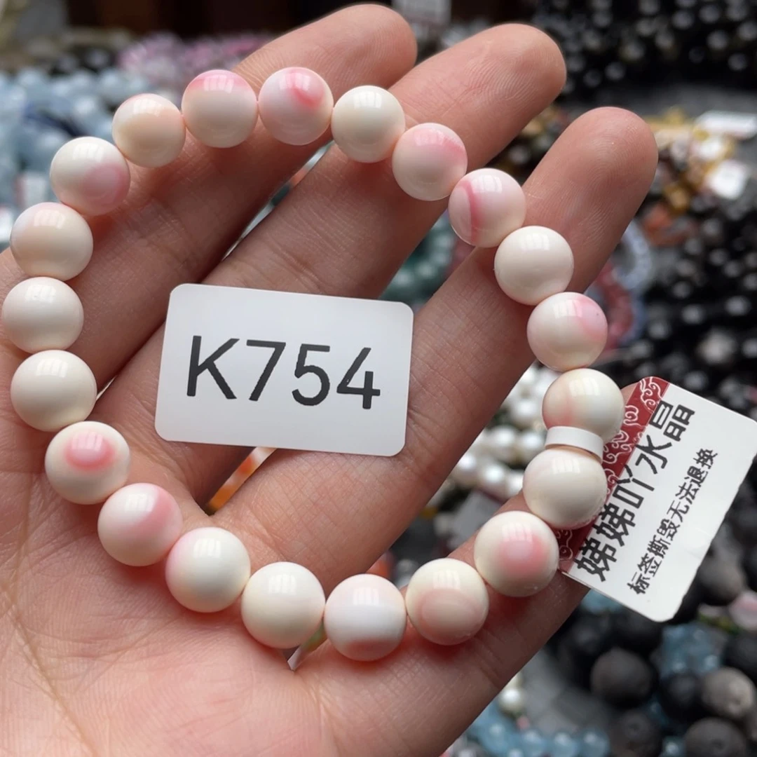 未镶嵌贝壳多样性