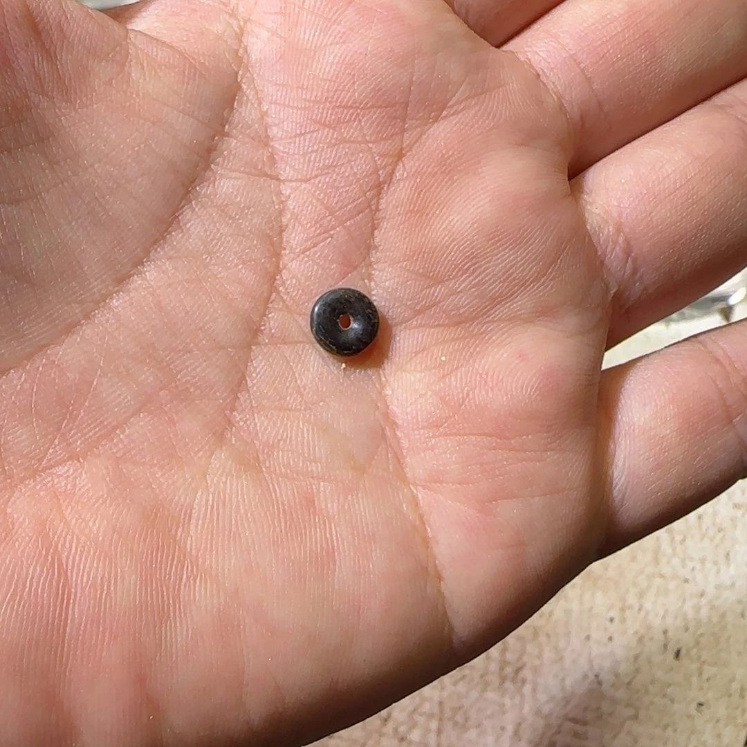 【闪购商品】沉香碎屑沉香芽庄黑棋沉水1个