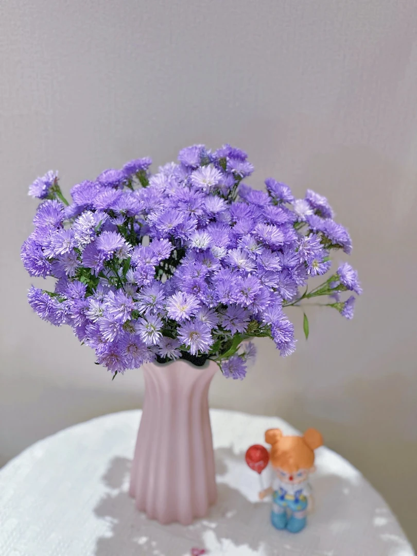 孔雀草 紫苑花 鲜切花 稀有小众 云南鲜花 冷链包邮