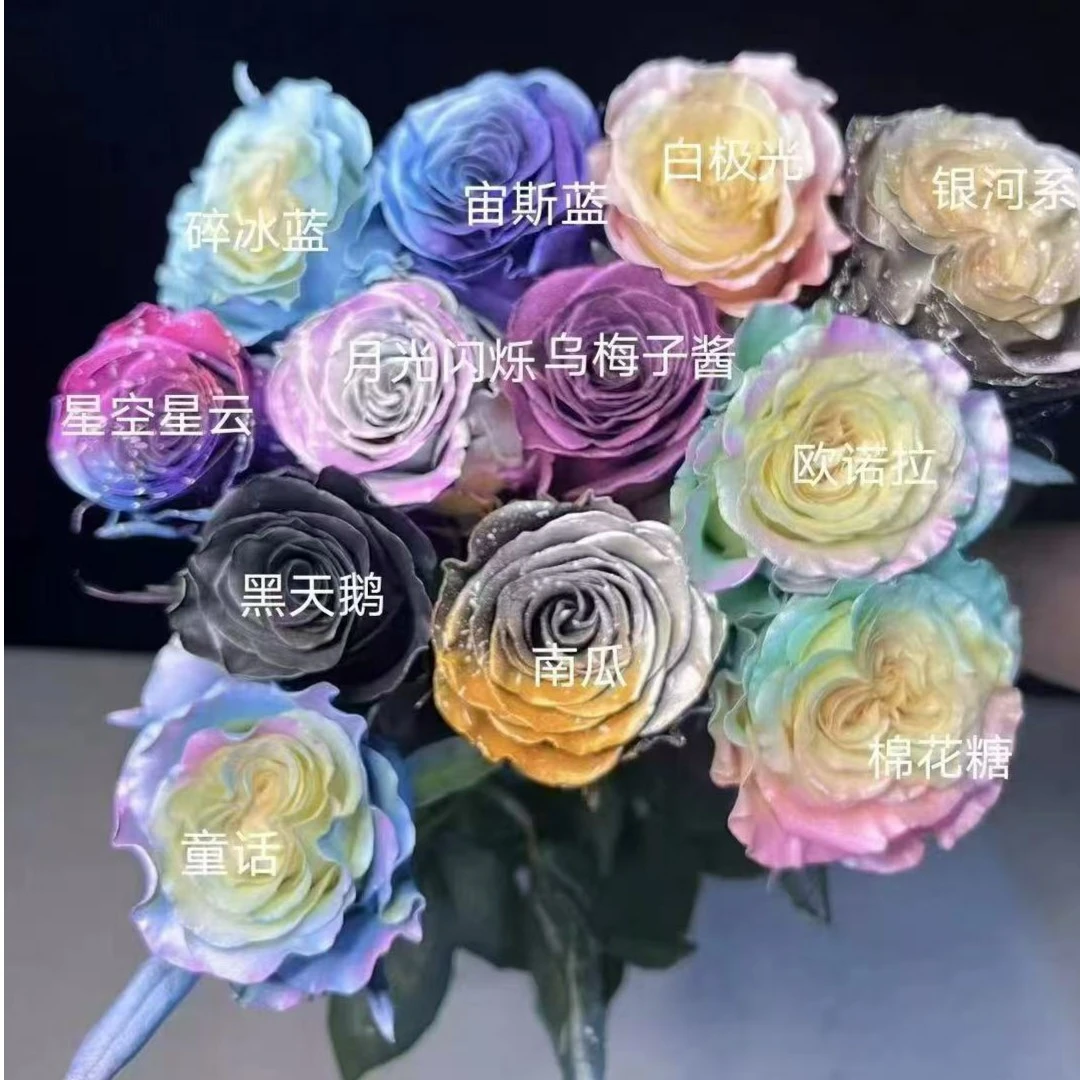 顺丰包邮【A级高端玫瑰】厄瓜多尔喷色玫瑰云南A级鲜花大花朵