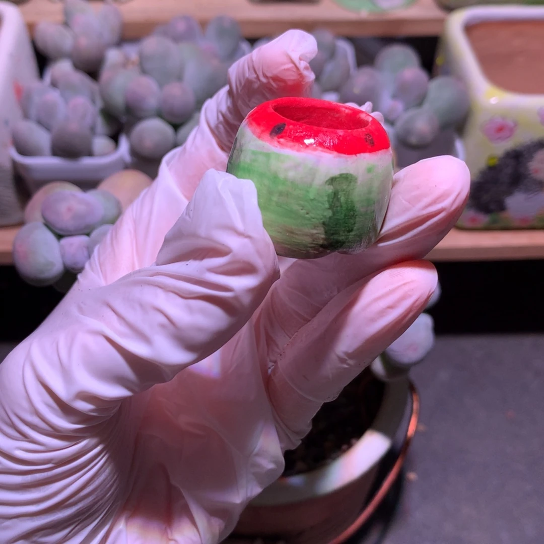 微瑕，西瓜花盆哈哈哈