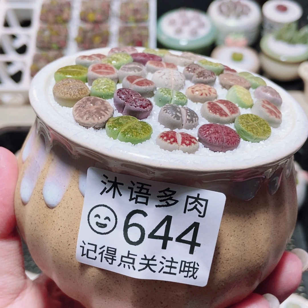 一物一拍 所见即所得644