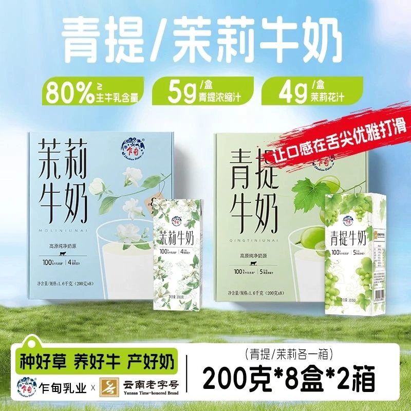 乍甸【2箱】高原牧场青提牛奶茉莉牛奶清爽奶香醇厚200g*8盒*2箱