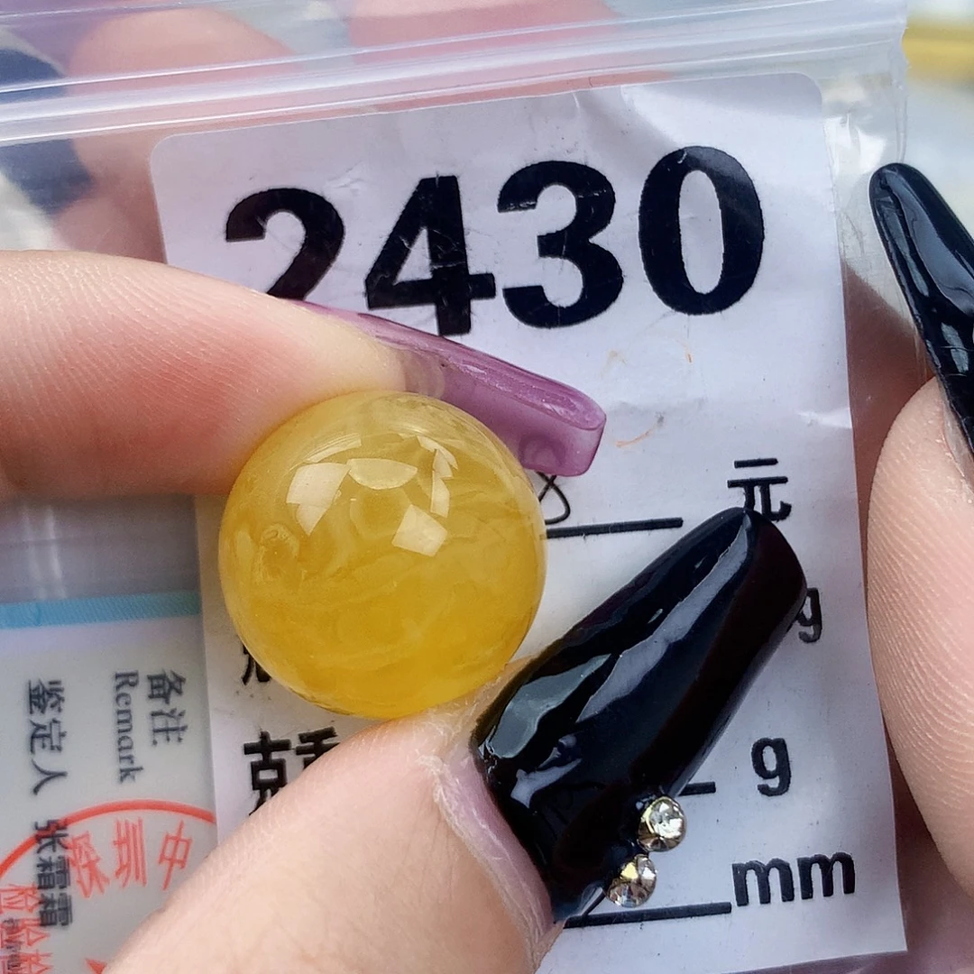 琥珀未镶嵌珠宝奇石18.3植物