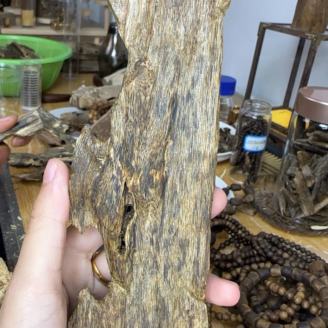 沉香沉香碎屑海南金沙叶树心虫漏52克