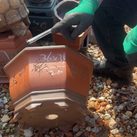 紫砂花盆紫砂花盆盆景盆栽