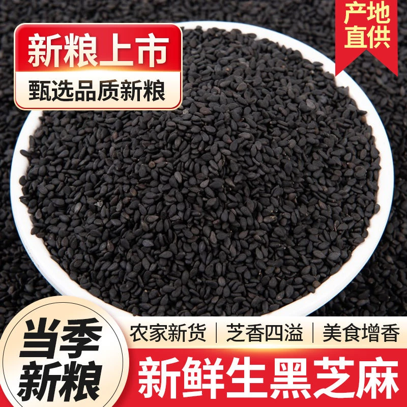 东北生黑芝麻500g熟芝麻新货油麻味道好干净纯颗粒饱满无沙无染色