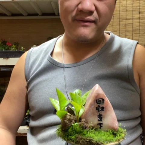 红陶一物一拍所见即所得98