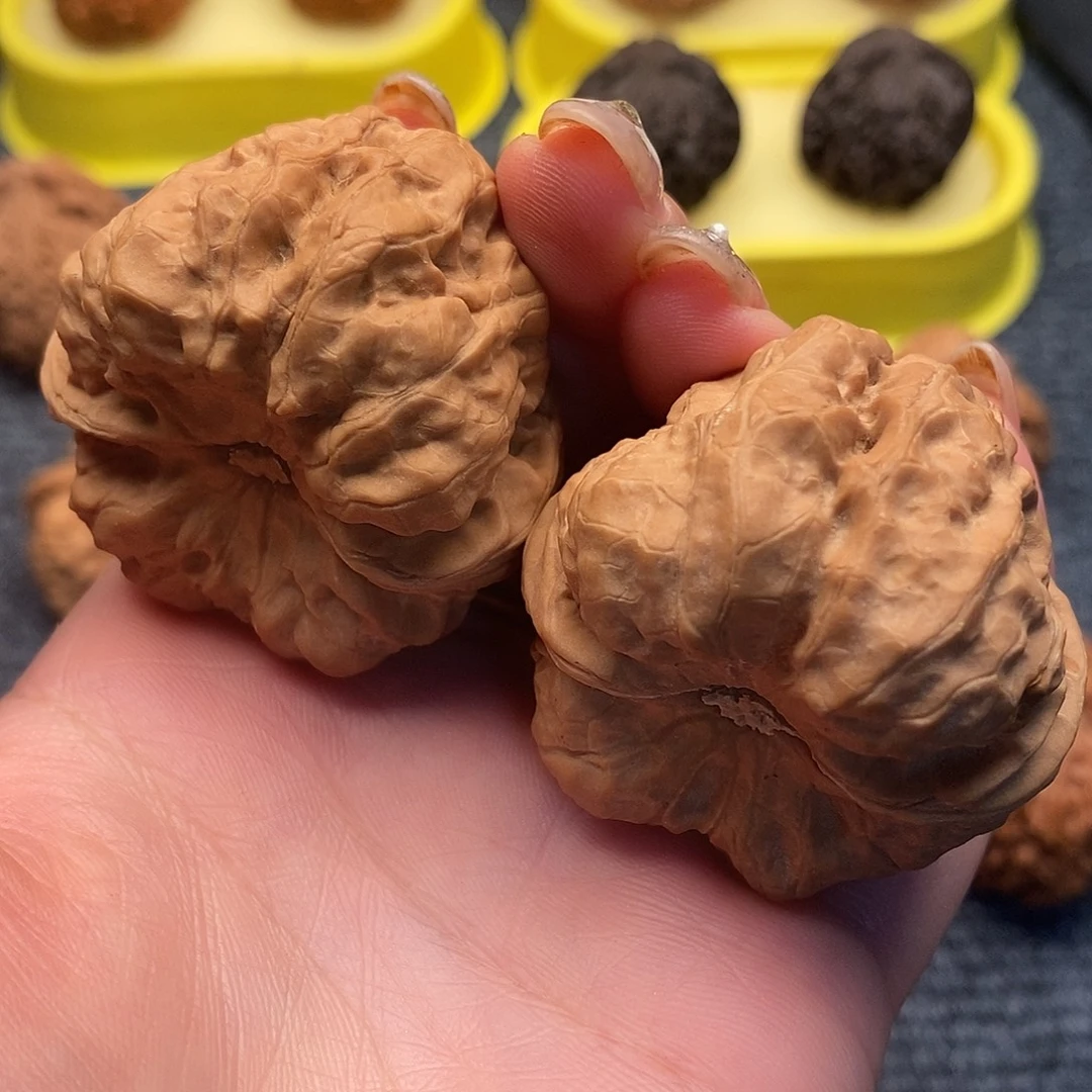 大叶紫檀（黑酸枝木类）