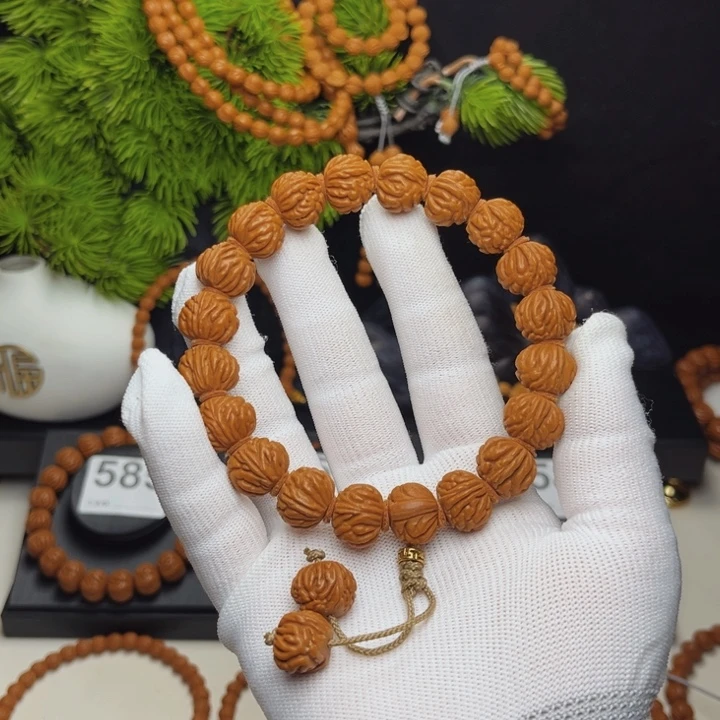 14尺寸野生籽金蝉