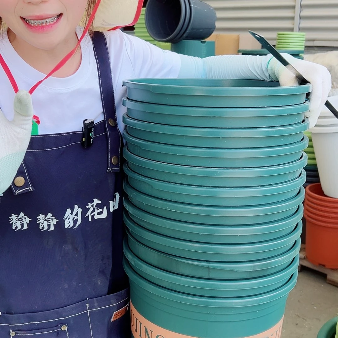 瑕疵矮胖6#墨绿色6个无托