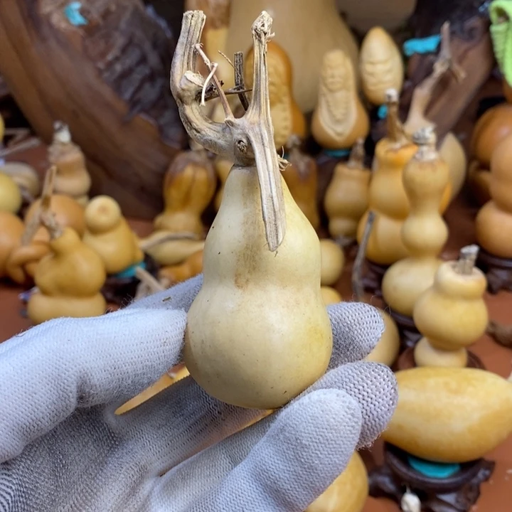 三***少教练呀教练噜路途兔