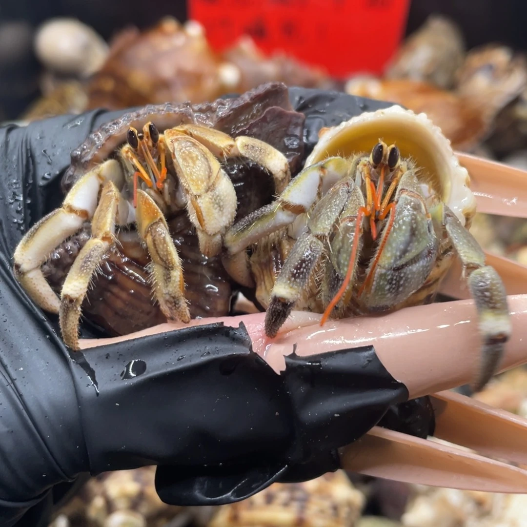 不退不换谢谢支持47