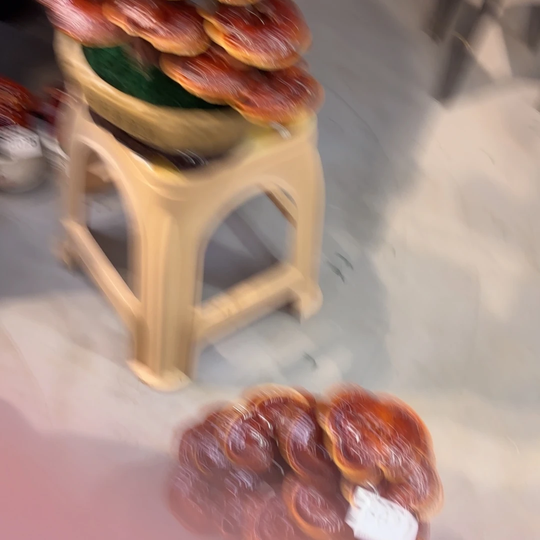 灵芝8888888888888888