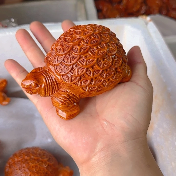 木花梨木12金钱龟一只