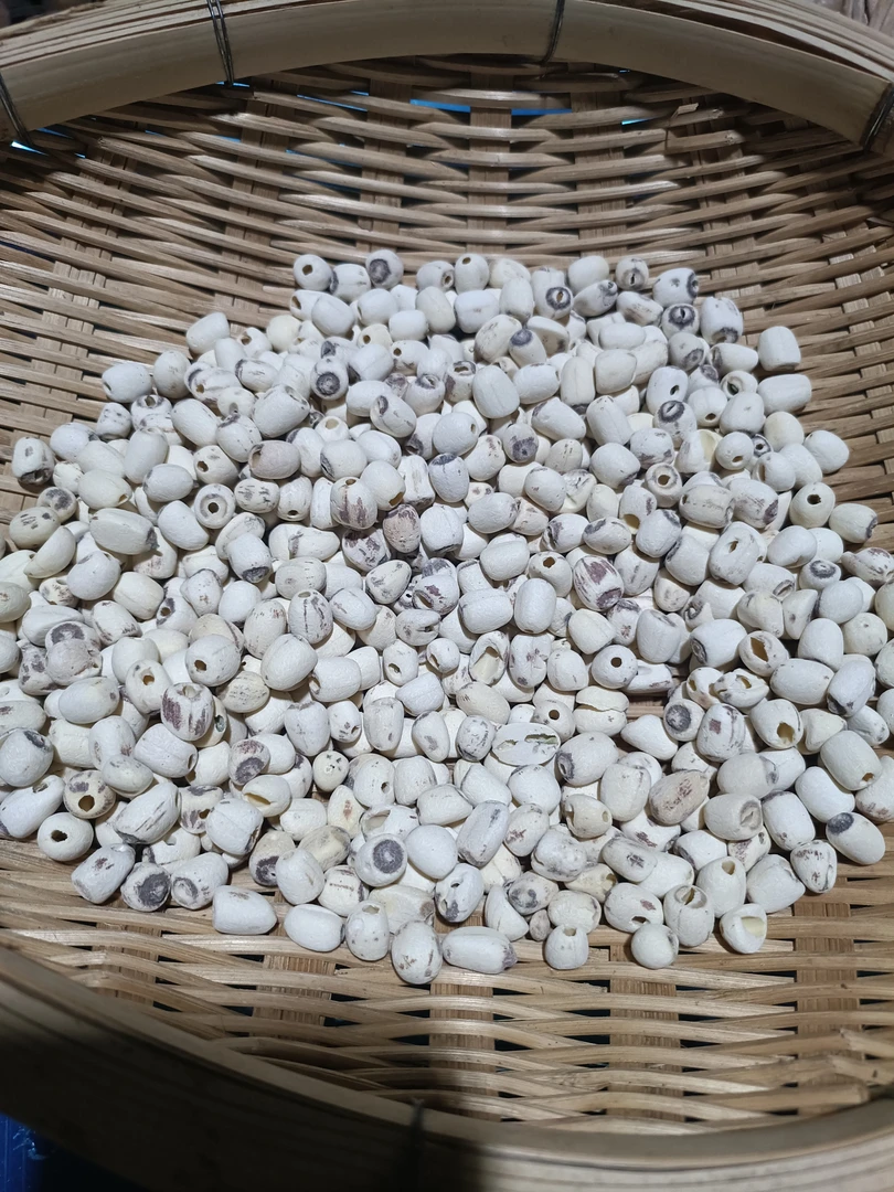 云南土特产【干货】直播间专用链接6号