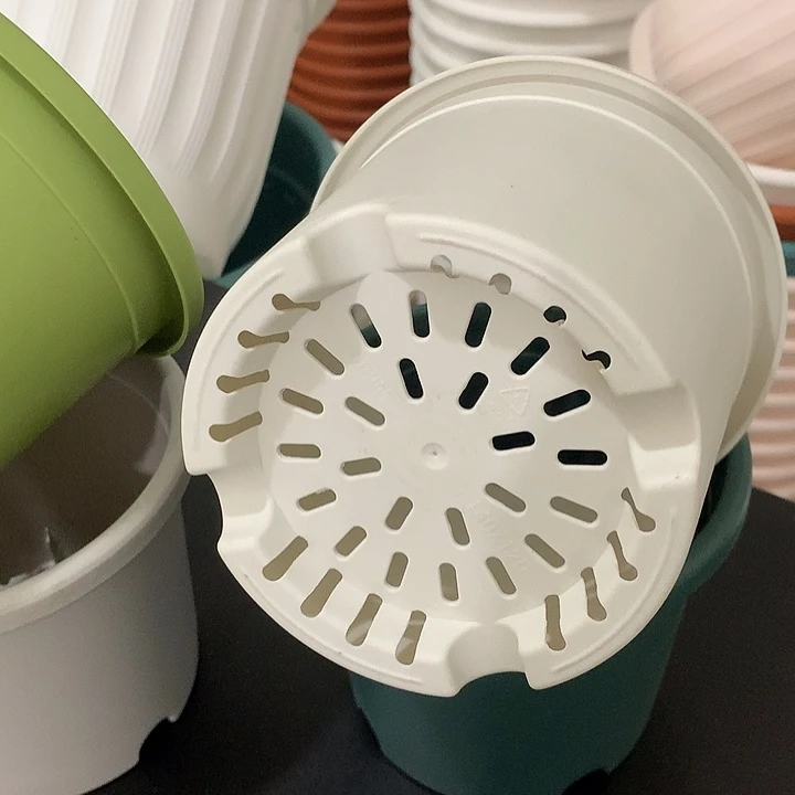 四季口14高12白10个