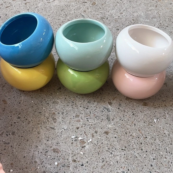 331649464918464661616161