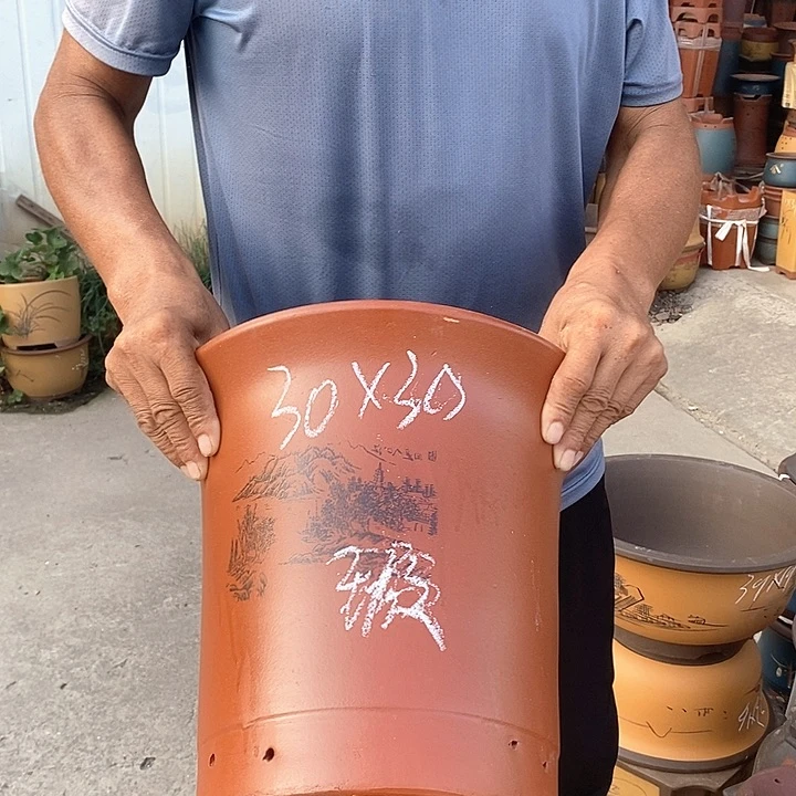 紫砂花盆紫砂花盆盆栽植物花卉苗木种植