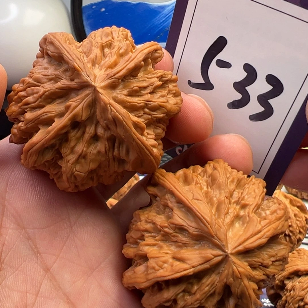 文玩核桃把件野牛正四棱52.5尺寸533号