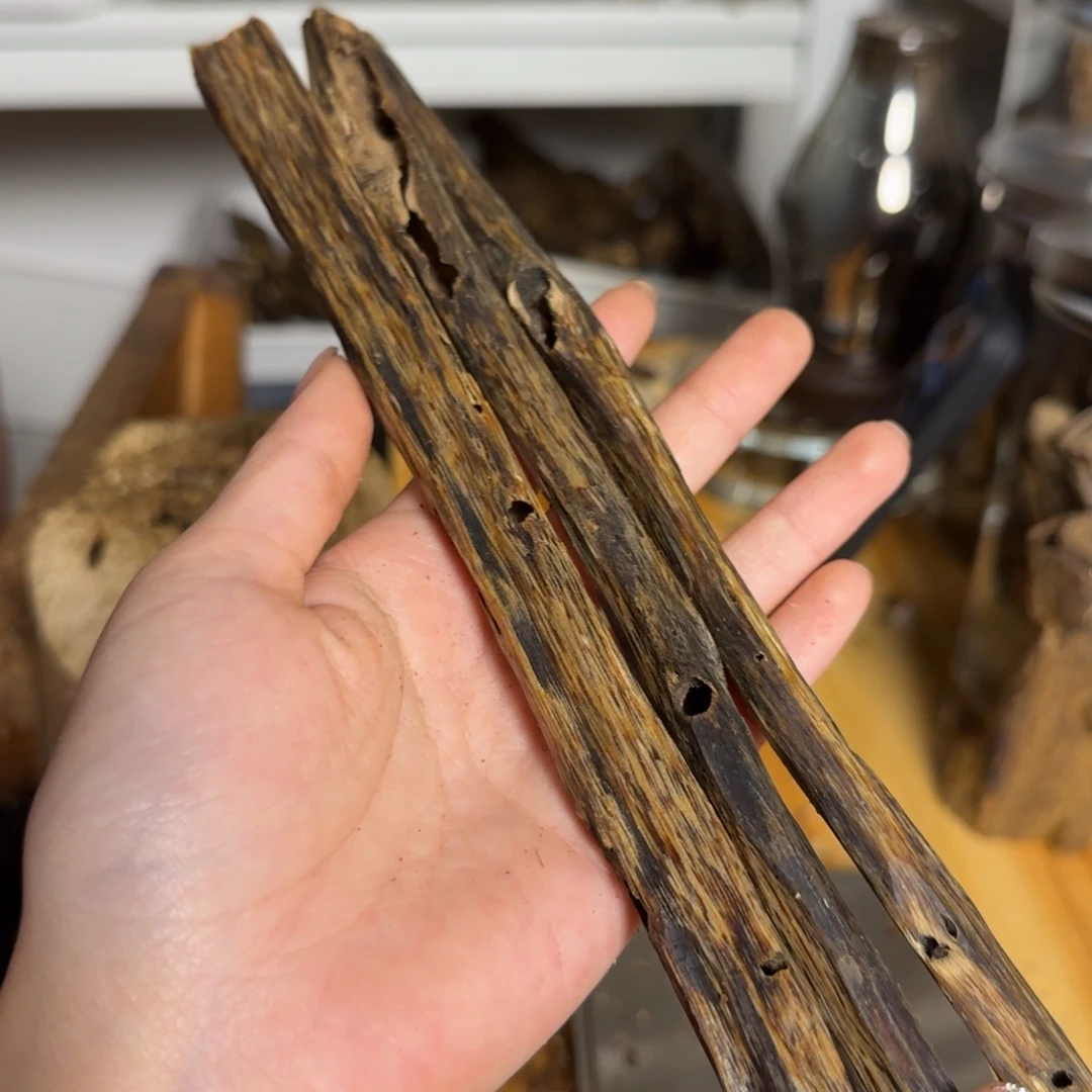 沉香白奇淳化虫漏老料29克