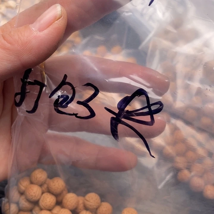 用***6散籽批发小桃核200