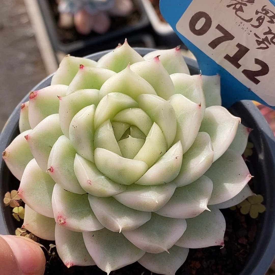 7121周末福利哈哈哈