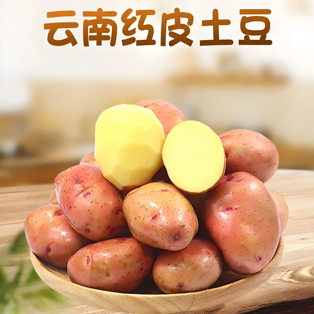 云南会泽88号红皮黄心土豆新鲜现挖高山种植粉面糯香