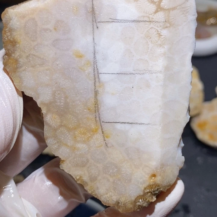 【闪购商品】未镶嵌珊瑚玉硅化玉