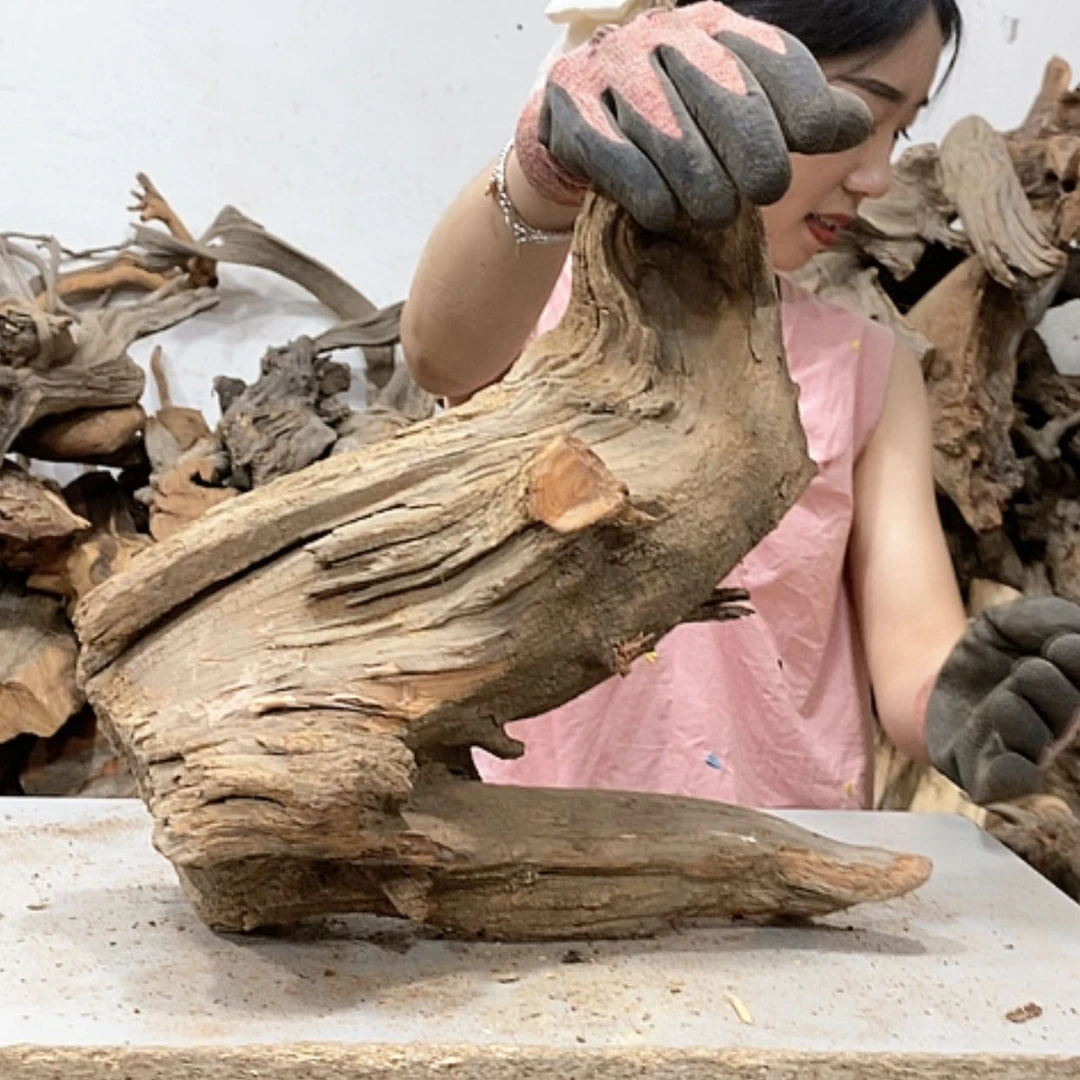 【闪购商品】柏木闻*我们都是好孩子呀