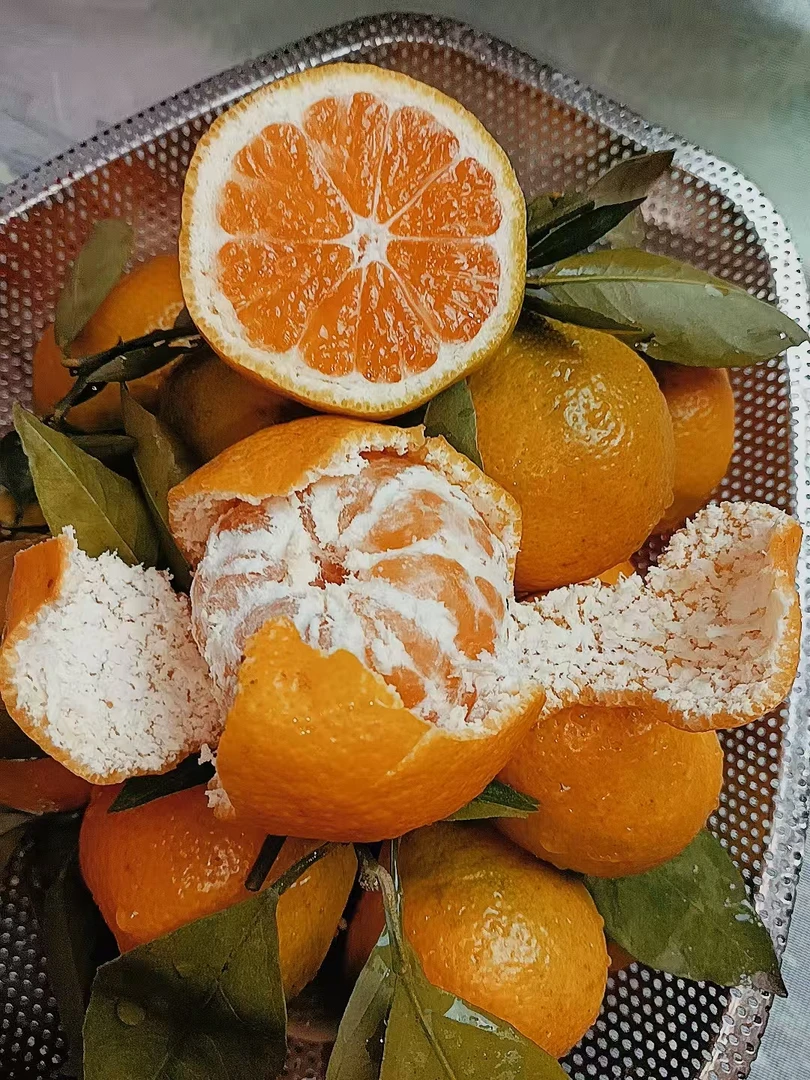 城固升仙村蜜桔细腻多汁果园直发蜜桔薄皮爆汁现摘鲜甜蜜桔5斤9斤