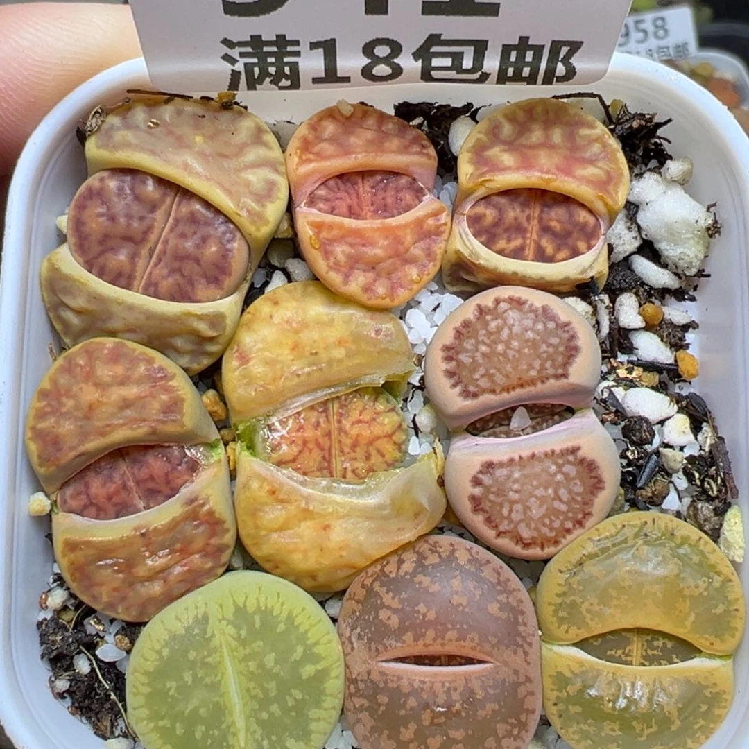 【闪购商品】941……