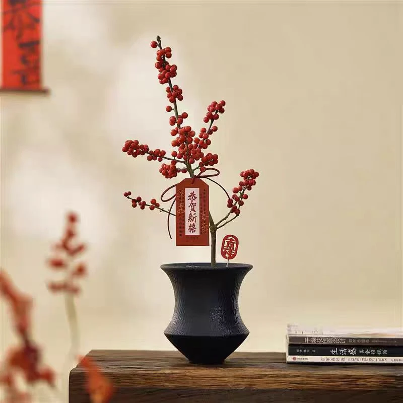 北美冬青盆栽年宵花卉好养植物