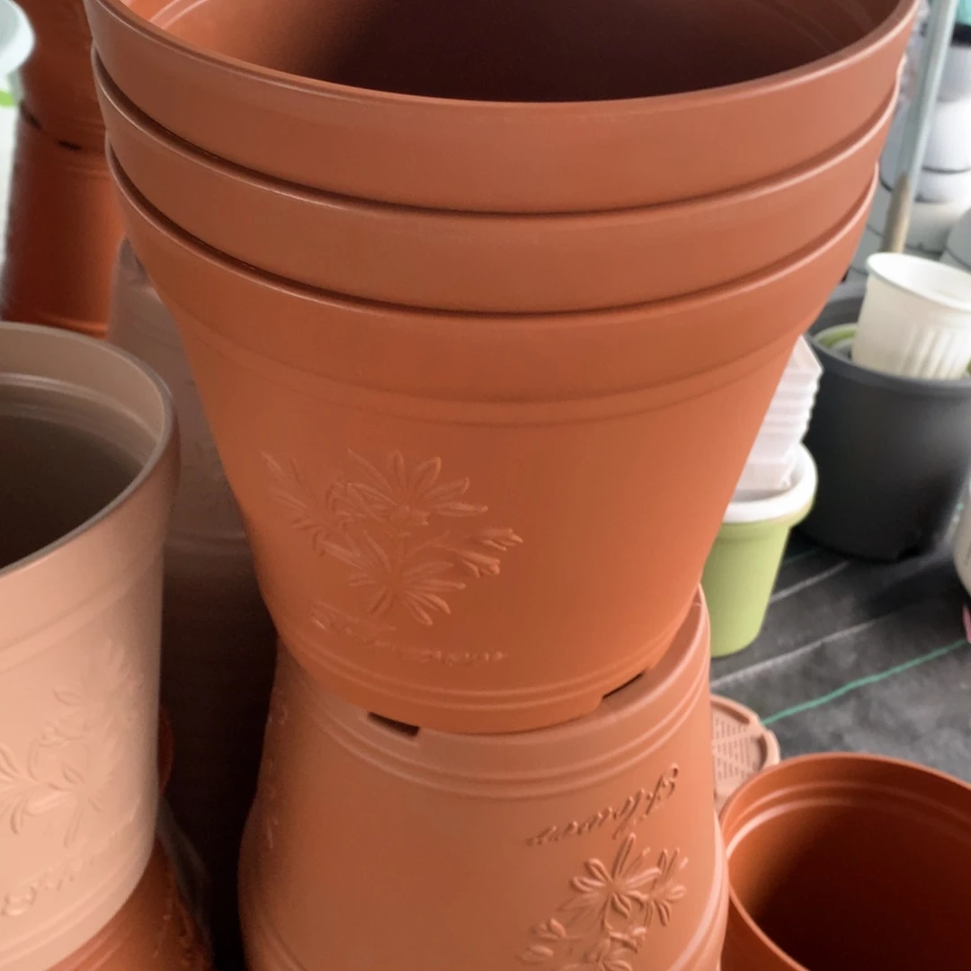 红陶飘***天22.6口陶红无托3个