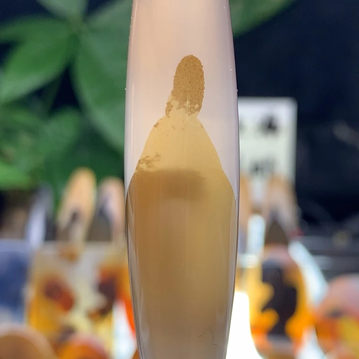 玛瑙/玉髓颈饰未镶嵌83