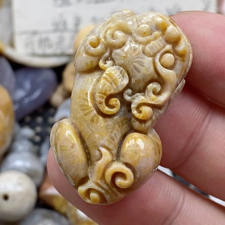 颈饰未镶嵌硅化珊瑚（珊瑚玉）