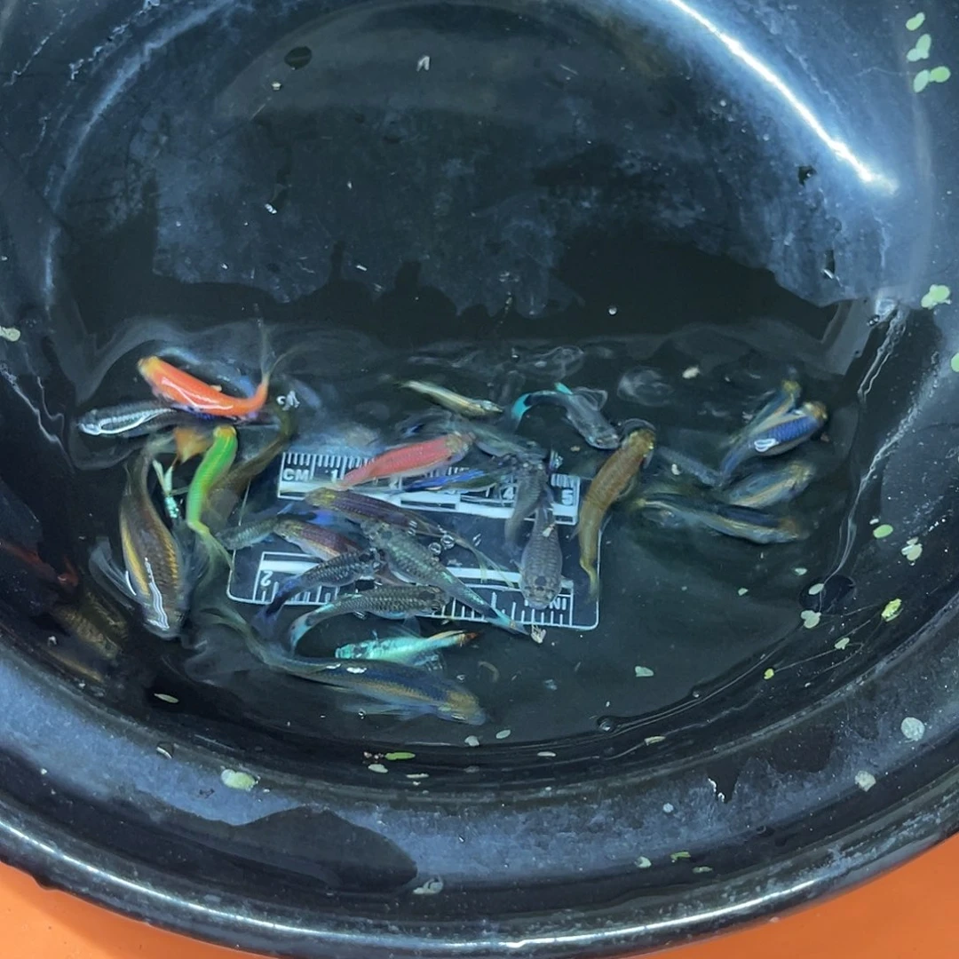 海水1号哈哈哈哈哈哈