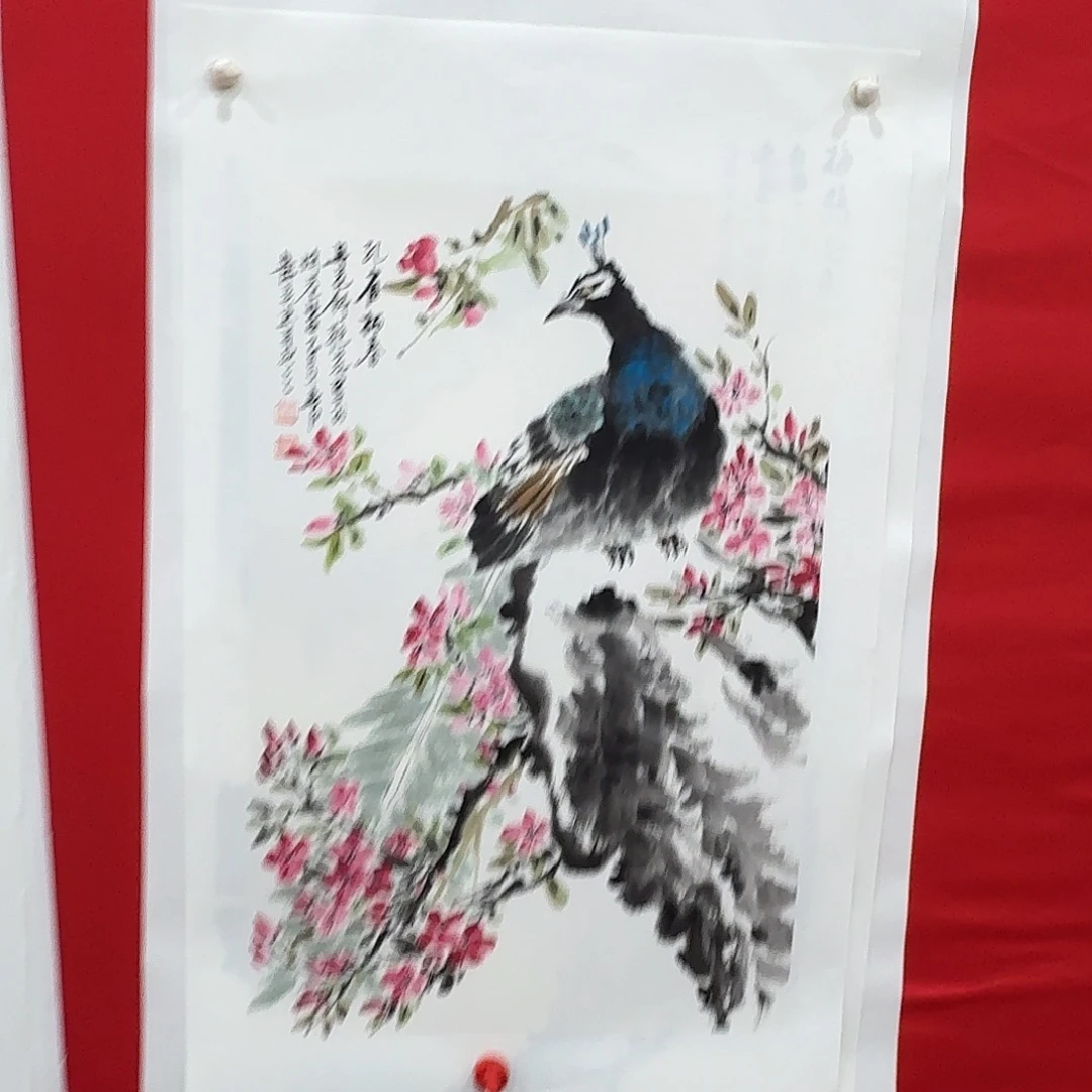 国画新号开播福利多多